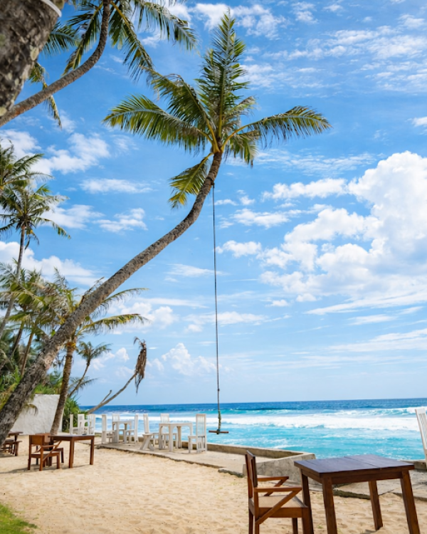 file_000000005b707208a62acb3a77bde99d